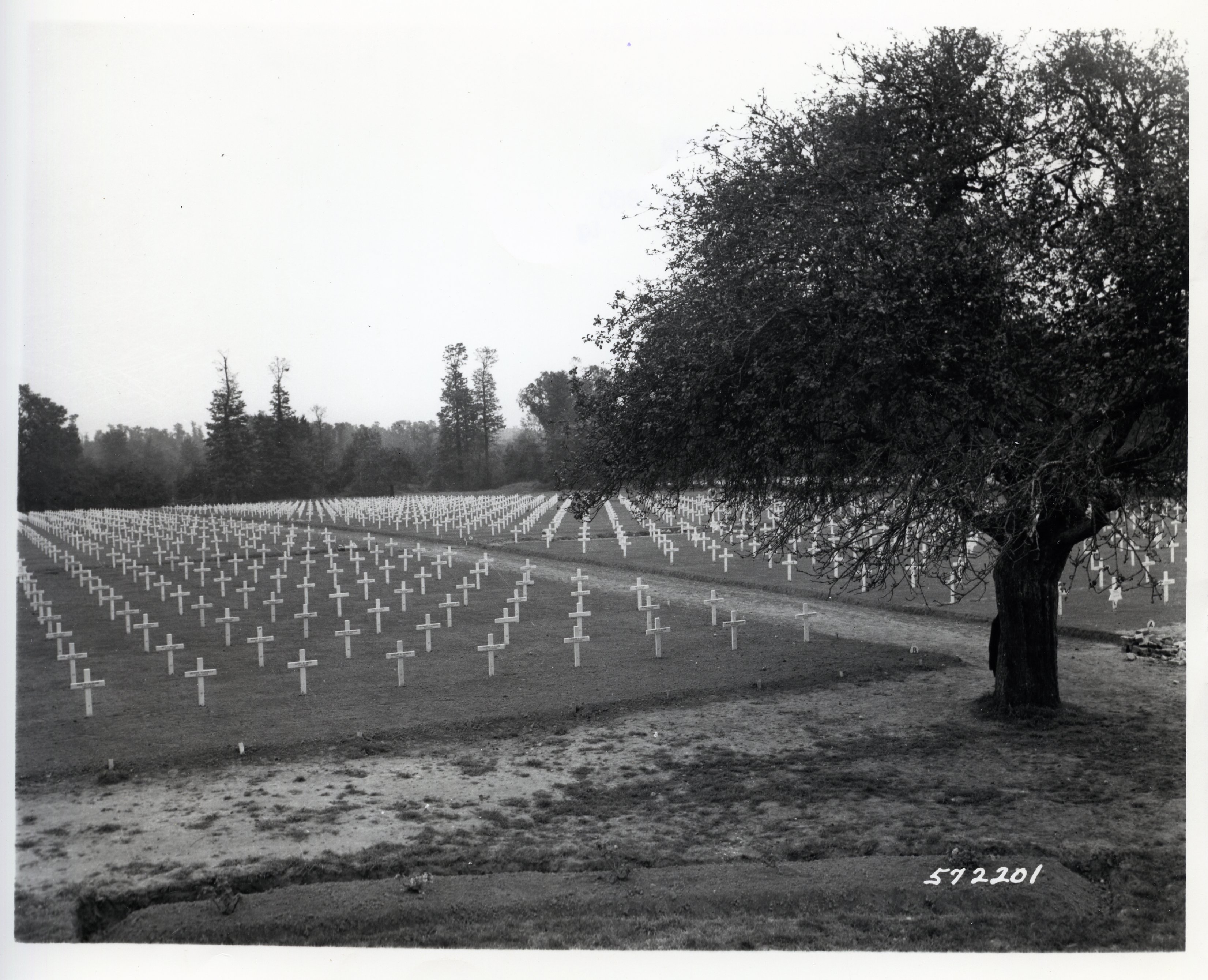 A temporary American military cemetery in France, rows of wooden crosses, 1944.